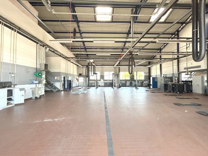 Warehouse/storage area to sell in Treves-Euren
