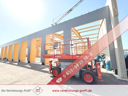 Warehouse/storage area to sell in Trierweiler