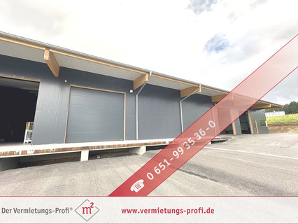Warehouse/storage area to sell in Hermeskeil