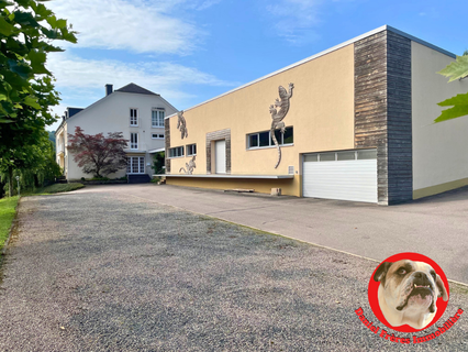 Moradia com 5 quarto(s) para venda em Wiltingen