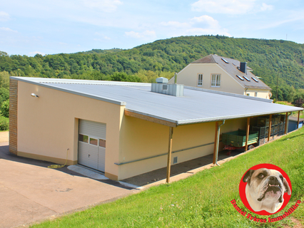 Moradia com 5 quarto(s) para venda em Wiltingen