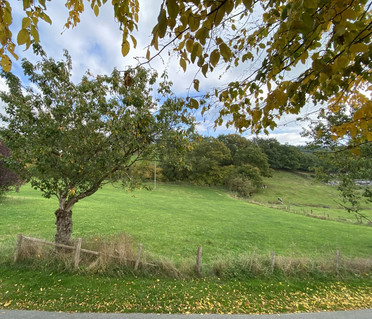 Terreno para venda em Burg-Reuland