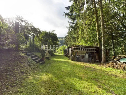 Jardim - Lago - Floresta para venda em Helmdange