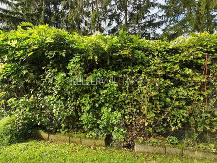 Jardim - Lago - Floresta para venda em Helmdange
