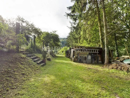 Jardim - Lago - Floresta para venda em Helmdange