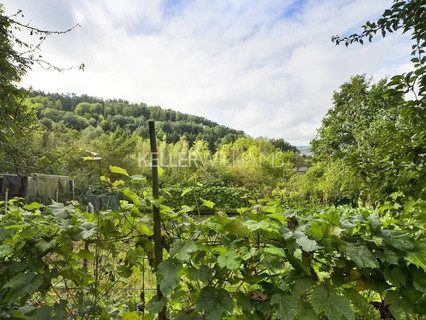Jardim - Lago - Floresta para venda em Helmdange
