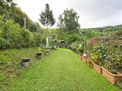 Jardim - Lago - Floresta para venda em Helmdange
