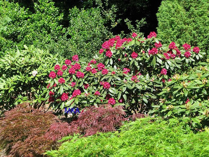 Villa with 5 bedroom(s) to sell in Kehlen