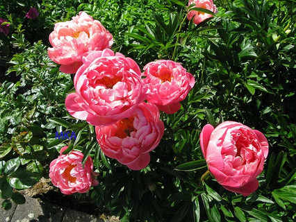 Villa with 5 bedroom(s) to sell in Kehlen