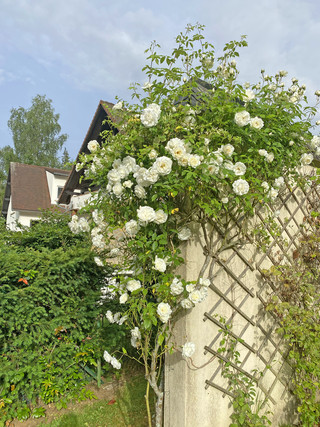 House with 5 bedroom(s) to sell in Kehlen