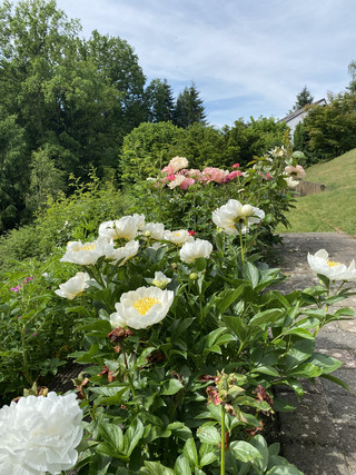 House with 5 bedroom(s) to sell in Kehlen