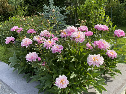 House with 5 bedroom(s) to sell in Kehlen