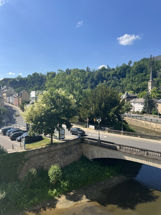 Wohnung 1 Zimmer zu vermieten in Luxembourg-Centre