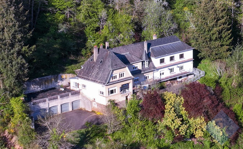 Food & Drink/Hotel with 11 bedroom(s) to sell in Vianden