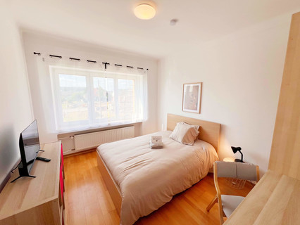Bedroom with 1 bedroom(s) to rent in Bascharage