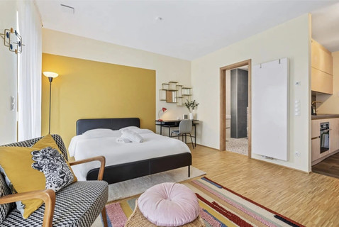 Wohnung 1 Zimmer zu vermieten in Luxembourg-Hollerich