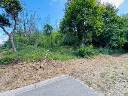 Garden - Pond - Forest to sell in Luxembourg-Dommeldange