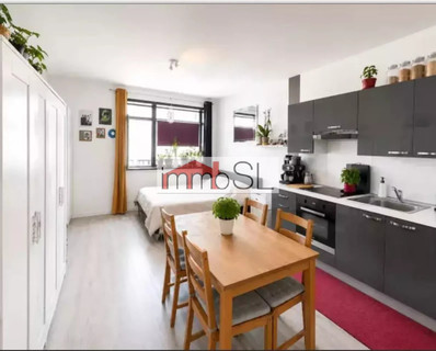 Studio with 1 bedroom(s) to sell in Esch-sur-Alzette