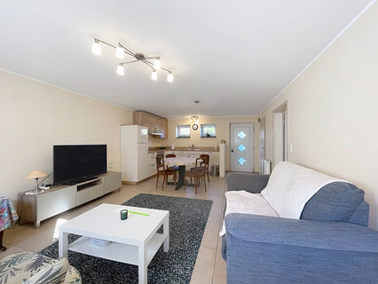 Apartamento com 1 quarto(s) para alugar em Bivels