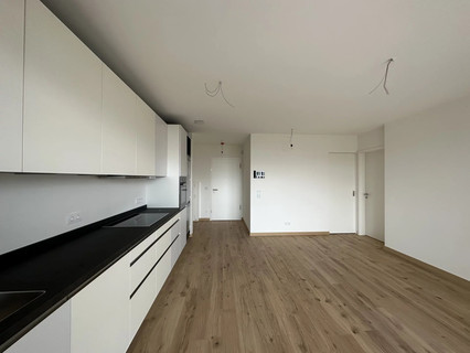 Wohnung 1 Zimmer zu vermieten in Luxembourg-Gasperich