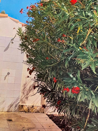 House with 2 bedroom(s) to sell in Roses